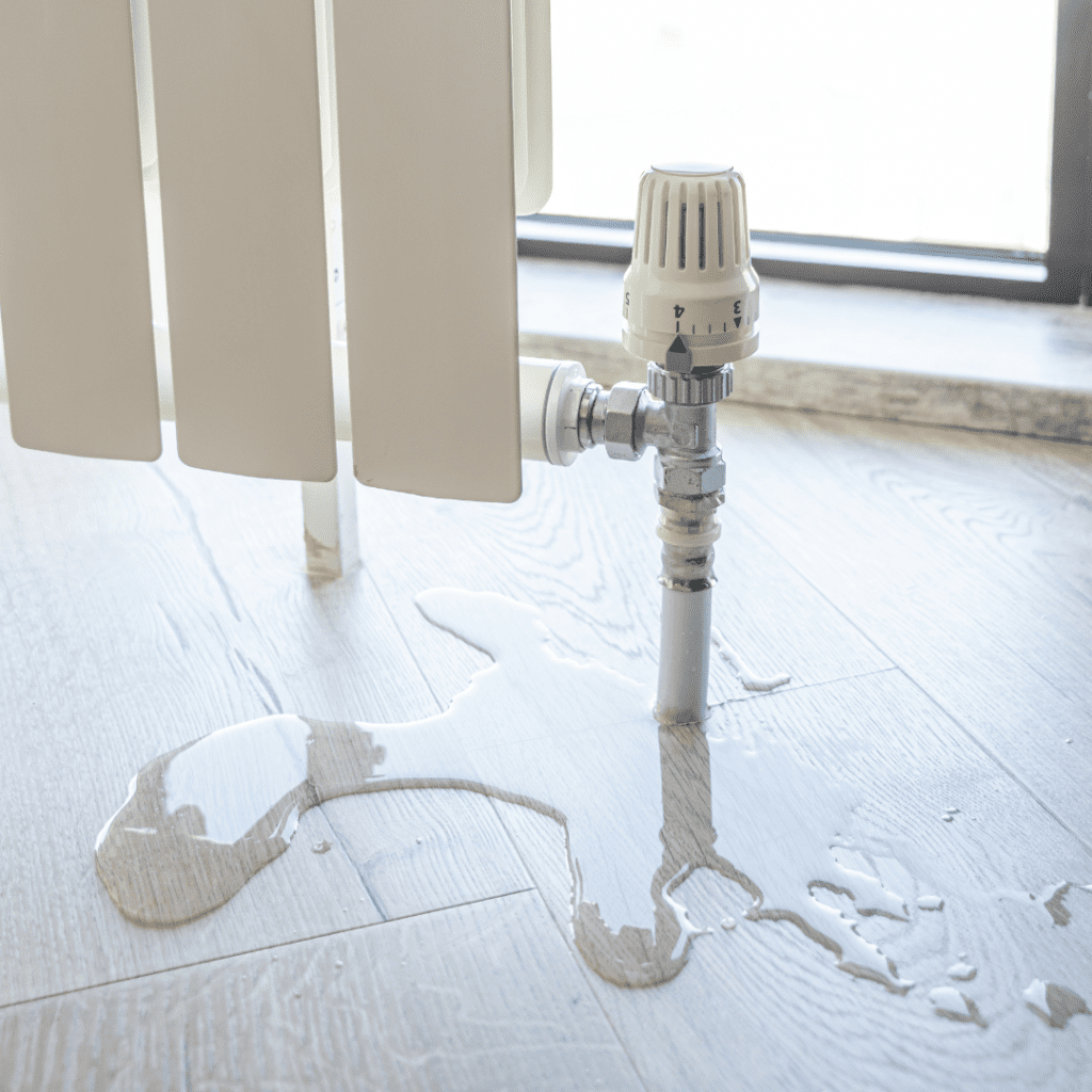 Common Signs You May Have a Hidden Water Leak